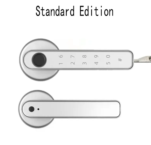 Graffiti Smart Fingerprint & Password Door Lock – Spherical Wooden Handle